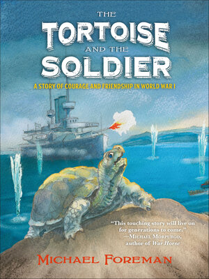 cover image of The Tortoise and the Soldier